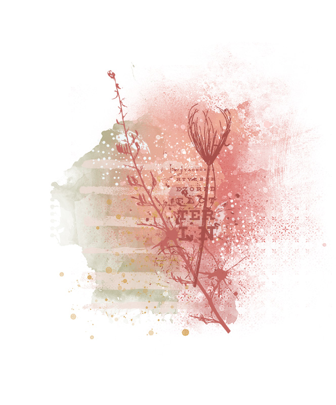 Seedheads Brushes and Stamps No.02 - Image 4