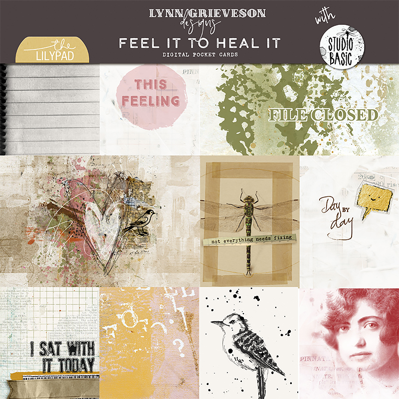 Feel It to Heal It Pocket Cards by Lynn Grieveson and Studio Basic