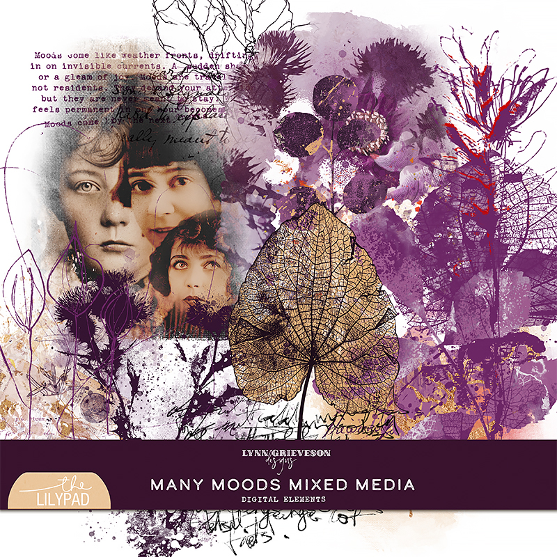 Many Moods Mixed Media Elements by Lynn Grieveson