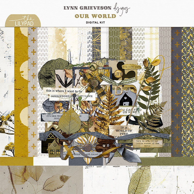 Our World Kit by Lynn Grieveson