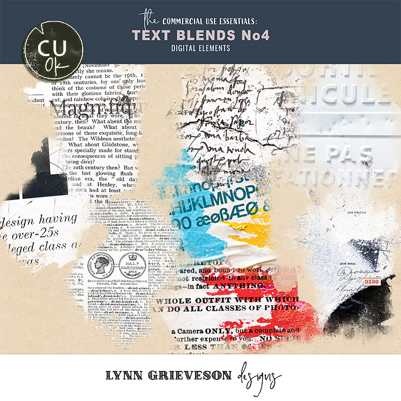 Text Blends No4 by Lynn Grieveson