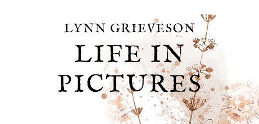 Lynn Grieveson Designs Lynn Grieveson Designs