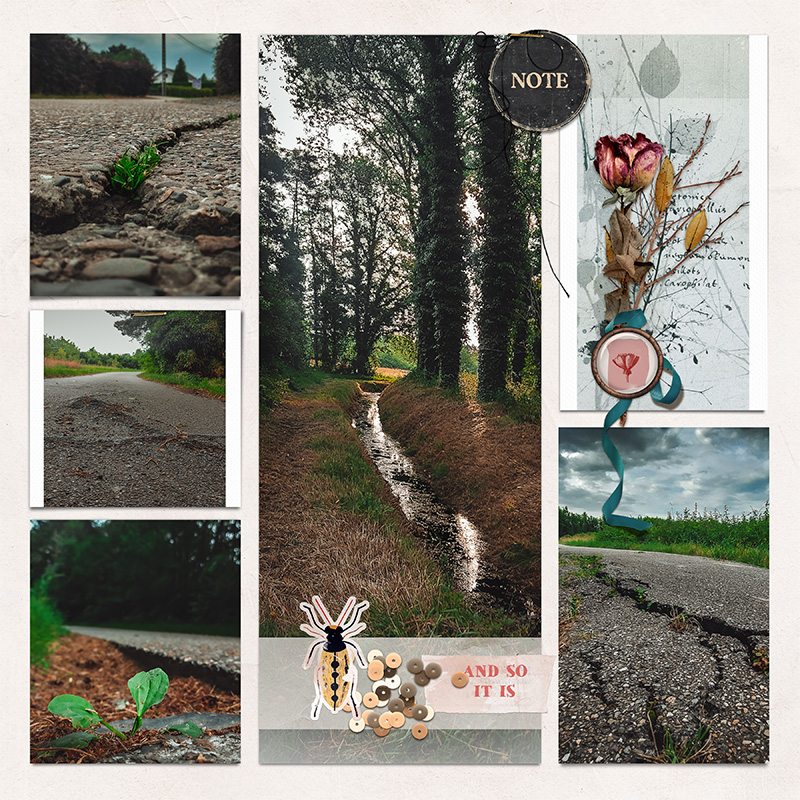 Lots of Pockets Threaded Photobook Templates - Image 10
