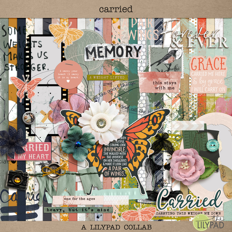 TLP Collab Carried kit