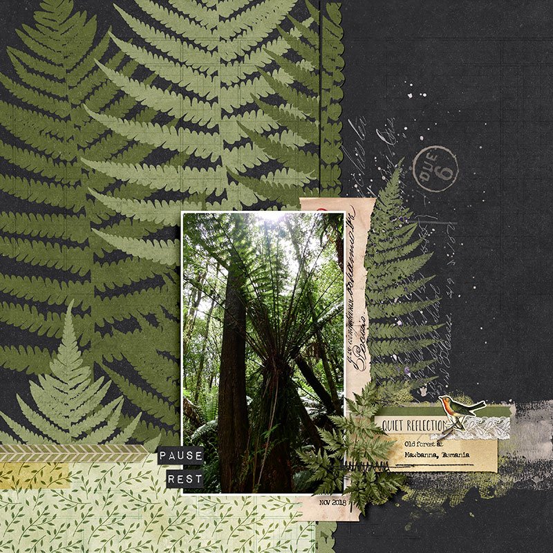 Fallow Vale bundle - Image 16