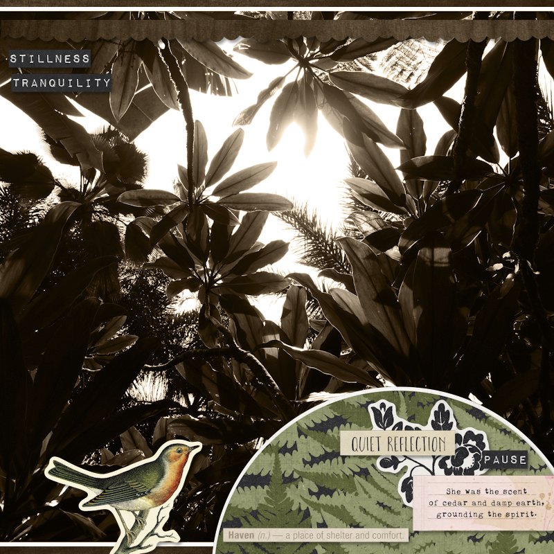 Fallow Vale papers - Image 4