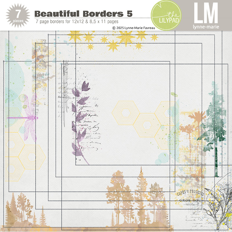 Beautiful Borders #5