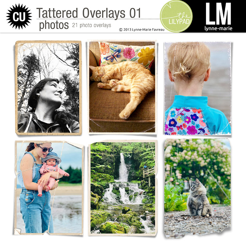 CU Tattered Overlays 01-PHOTO