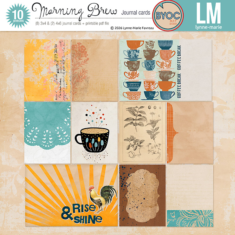 Morning Brew journal cards