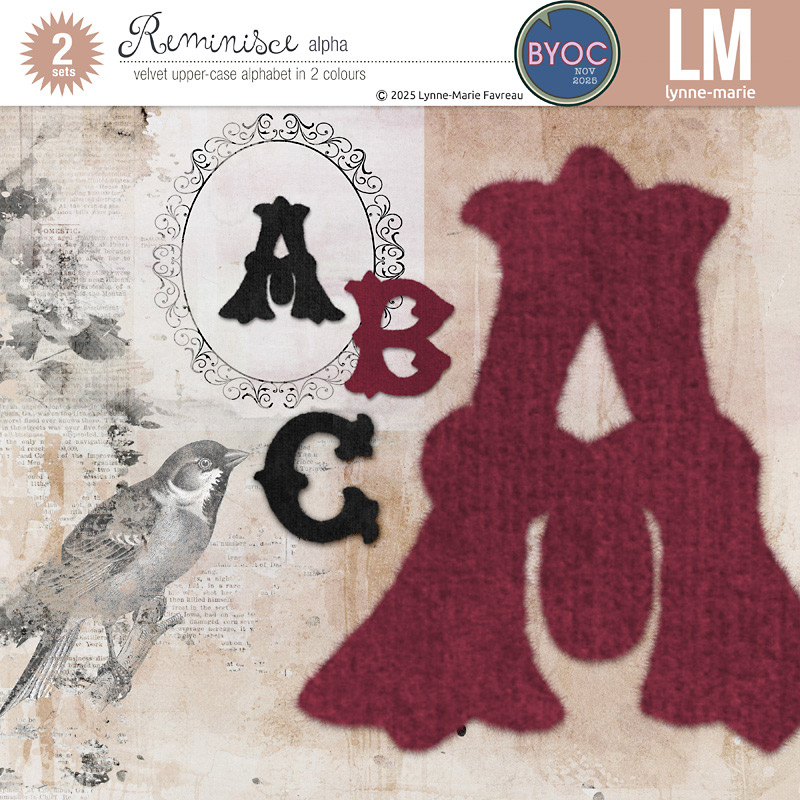 Reminisce bundle - Image 4