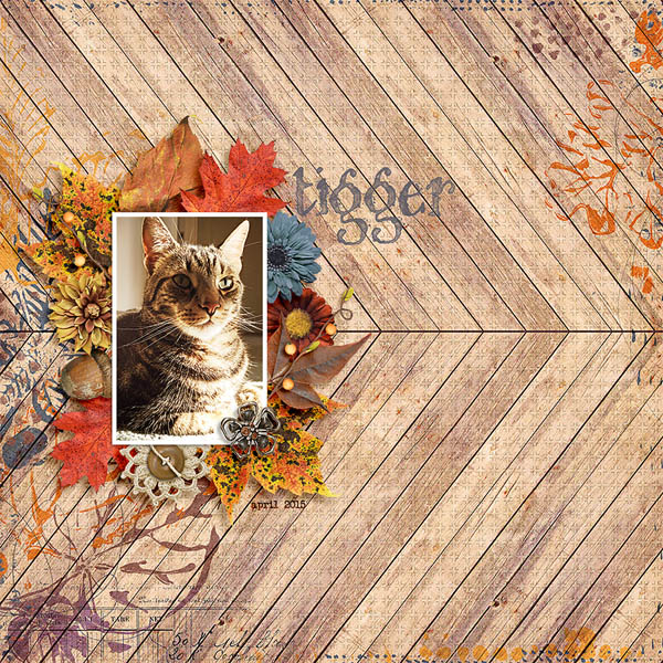 Fall bundle - Image 7