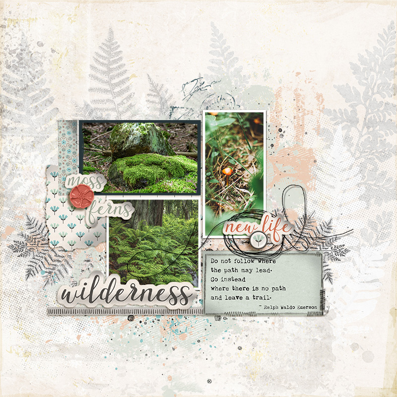 Forest Floor bundle - Image 11