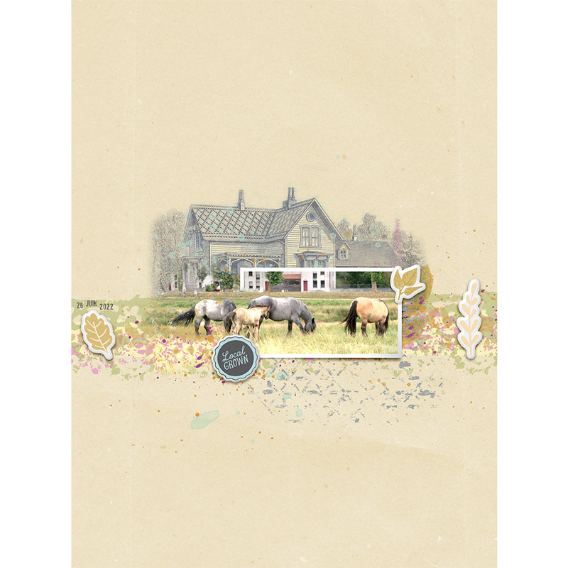 Homestead bundle - Image 8