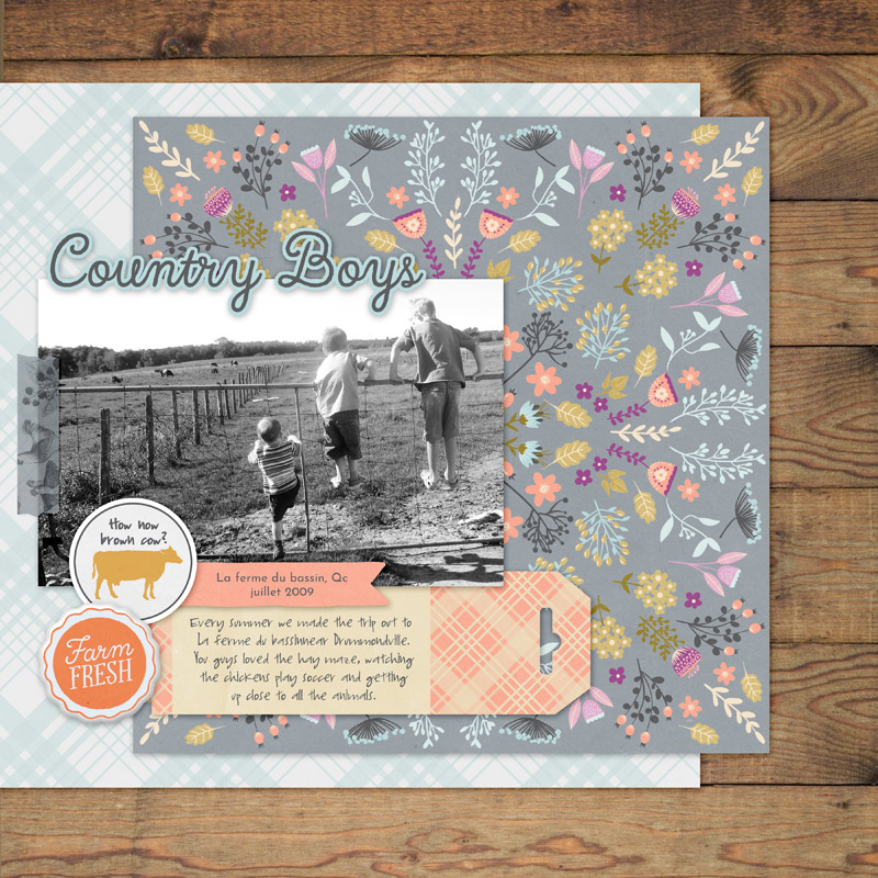 Homestead bundle - Image 10