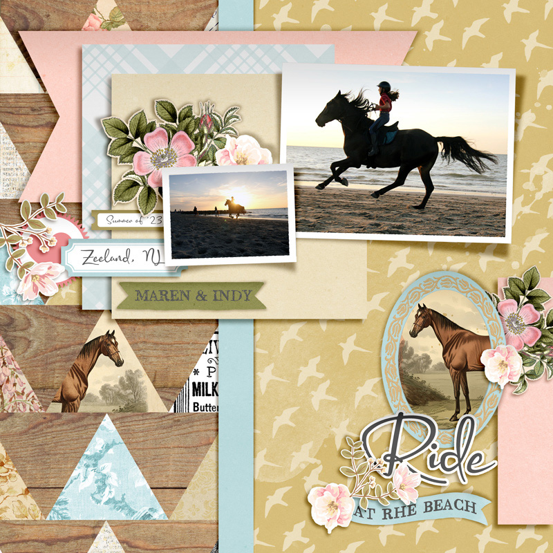 Homestead bundle - Image 11