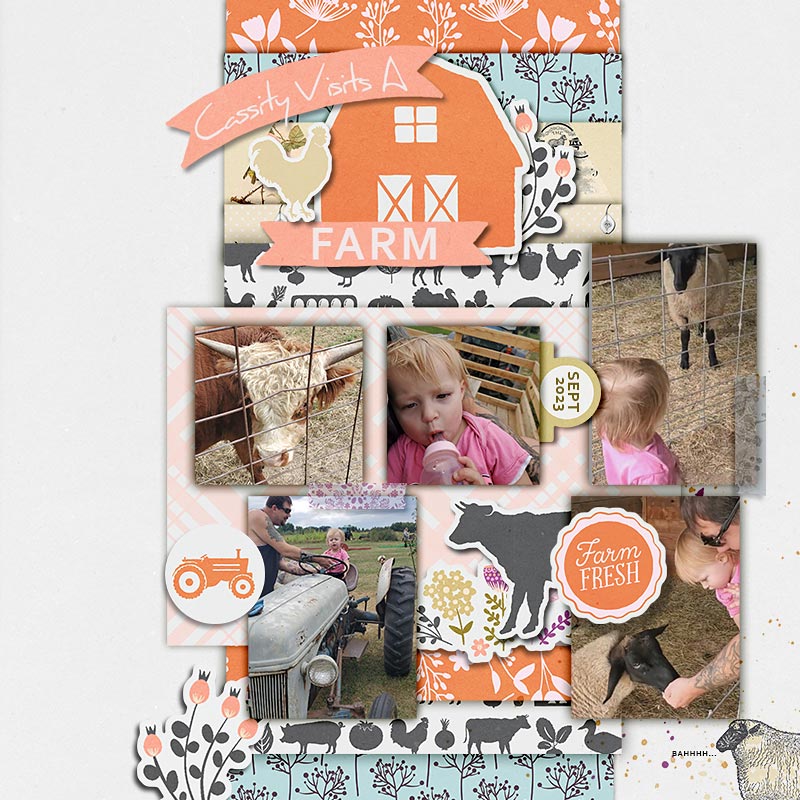 Homestead bundle - Image 6