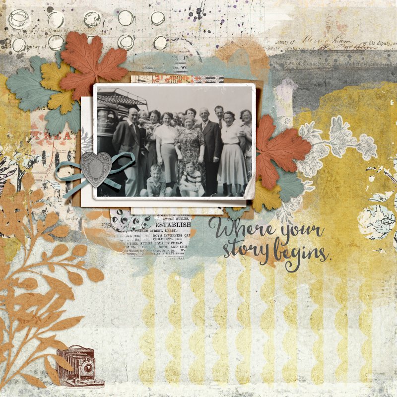 Family /bundle/ - Image 10