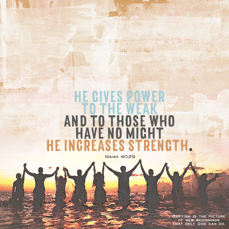 Strength & Dignity bundle - Image 12