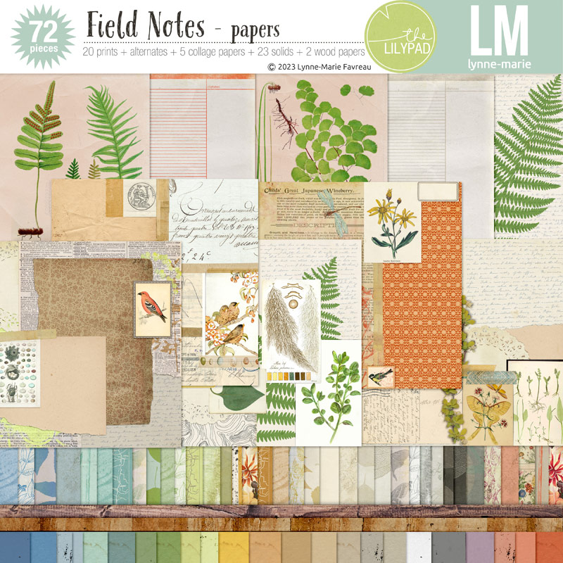Field Notes papers