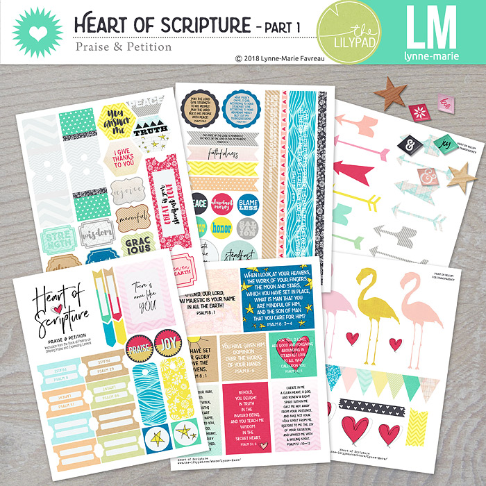 Heart of Scriptures - bundle - Image 5