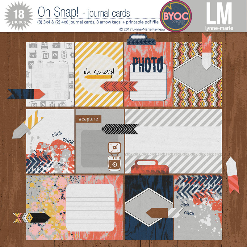 Oh Snap!  journal cards