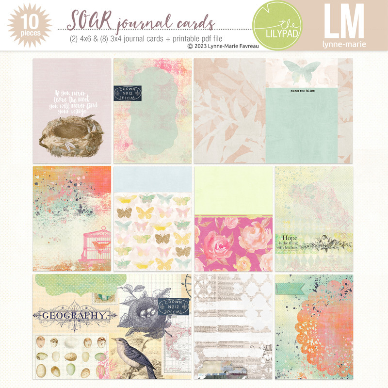 SOAR journal cards