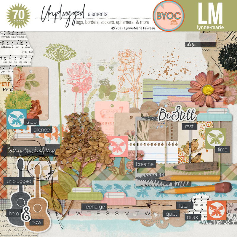 Unplugged bundle - Image 2