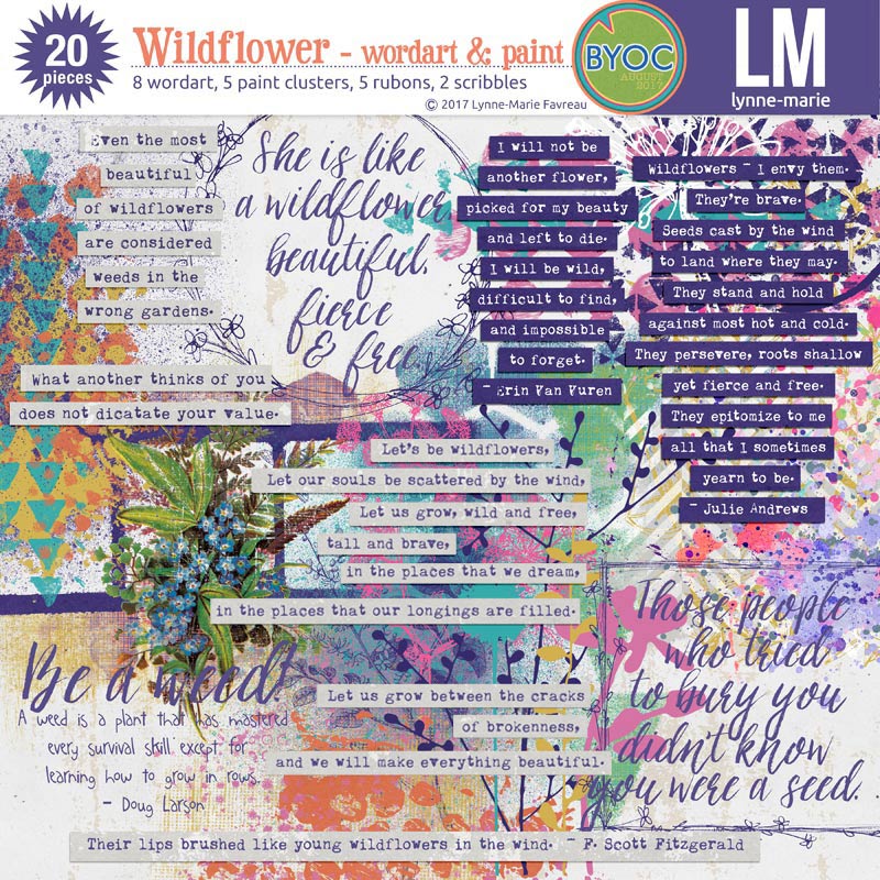 Wildflower bundle - Image 4