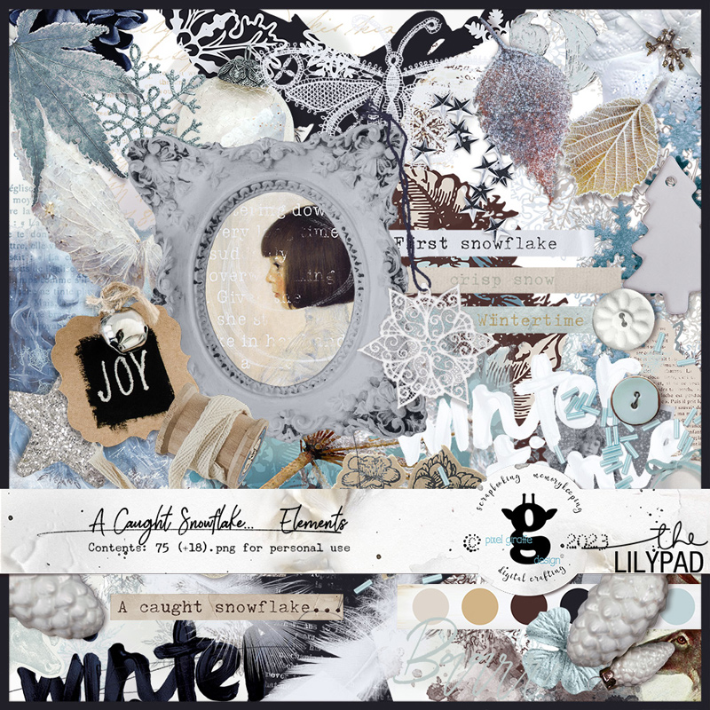 A Caught Snowflake [Elements]