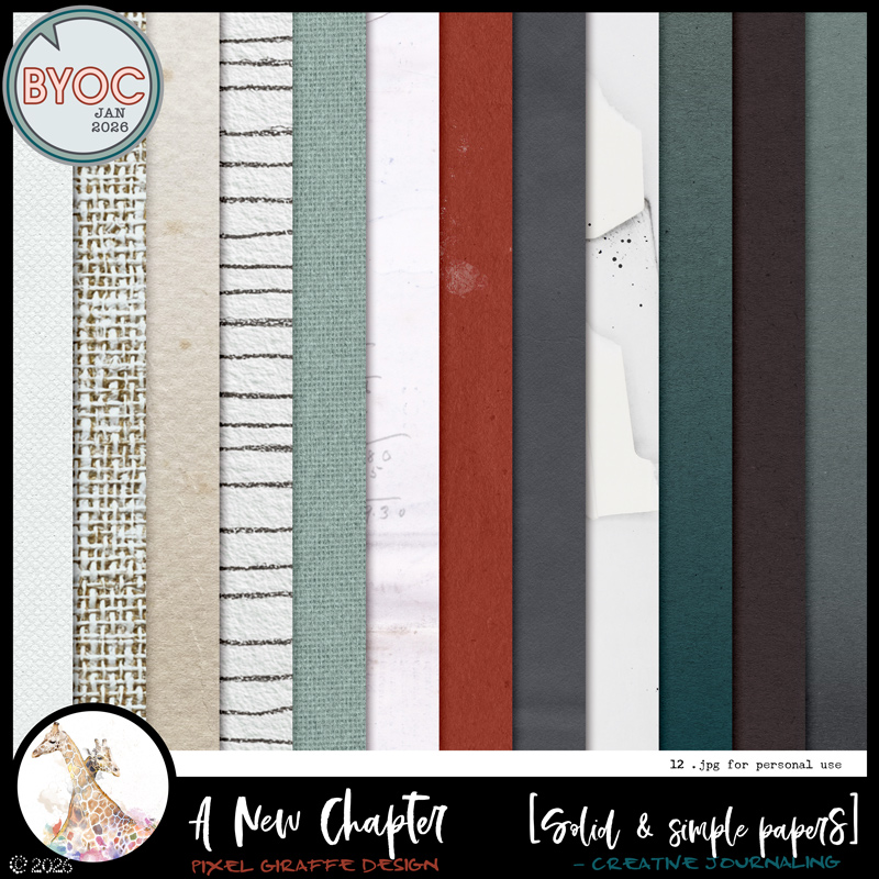 A New Chapter [Solid & Simple papers] by Pixel Giraffe Design