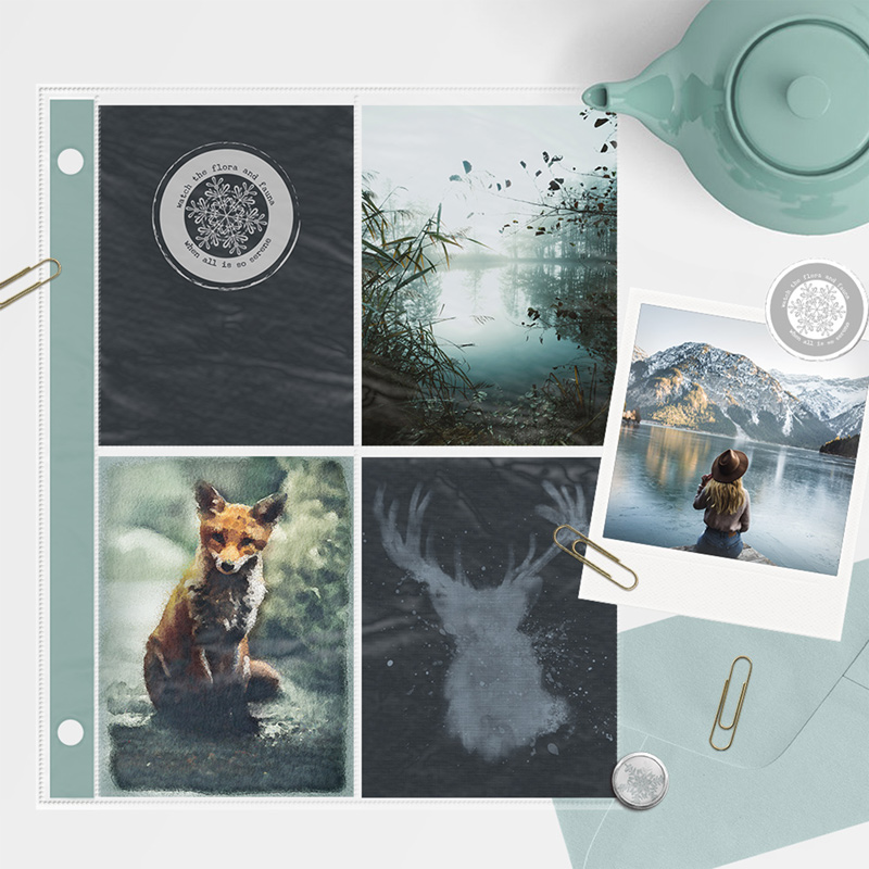 The Frozen Lake [Cards] - Image 7