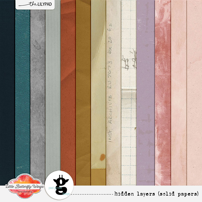 Hidden Layers [Solid & Simple Papers] by LBW and PGD