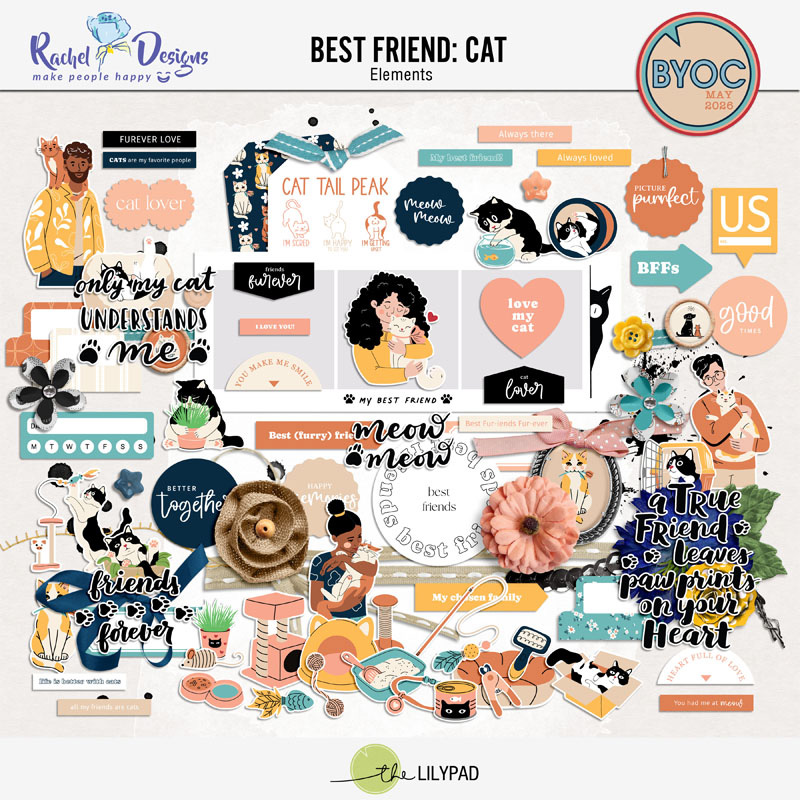 Best Friend Cat | Elements