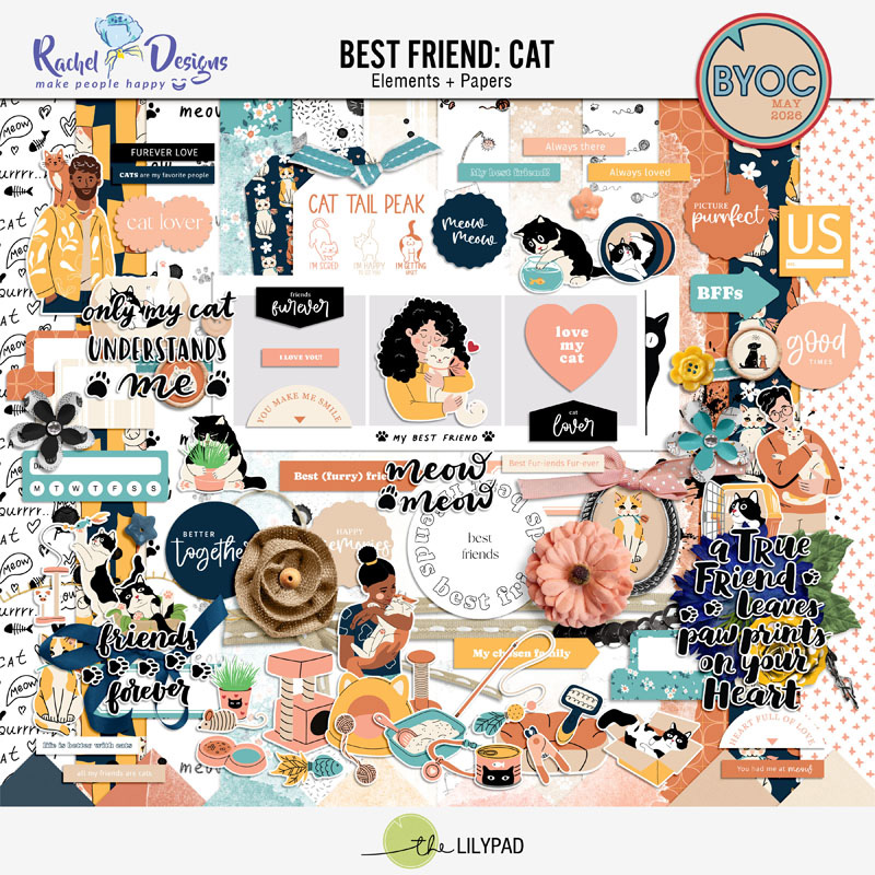 Best Friend Cat | Kit