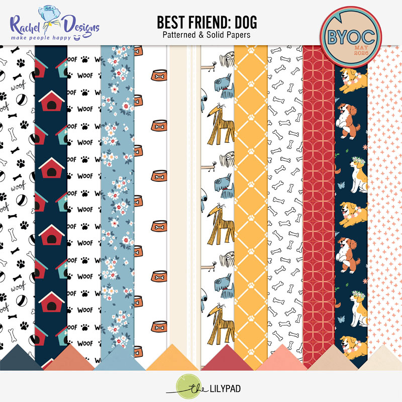 Best Friend Dog | Papers