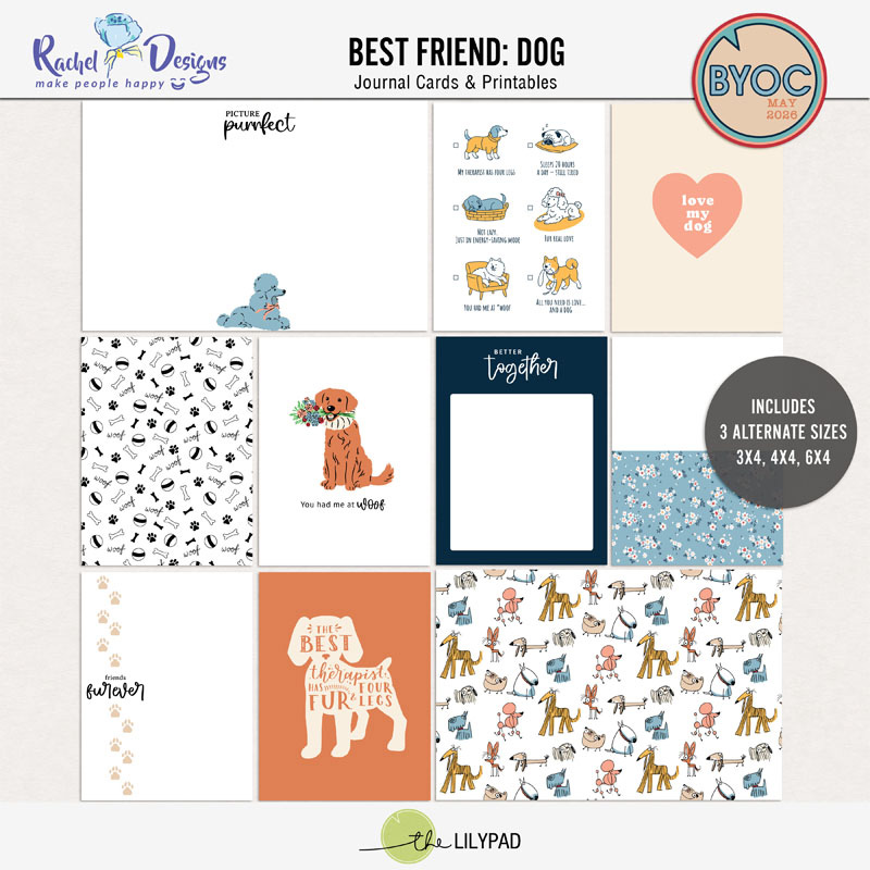 Best Friend Dog | Pocket Cards