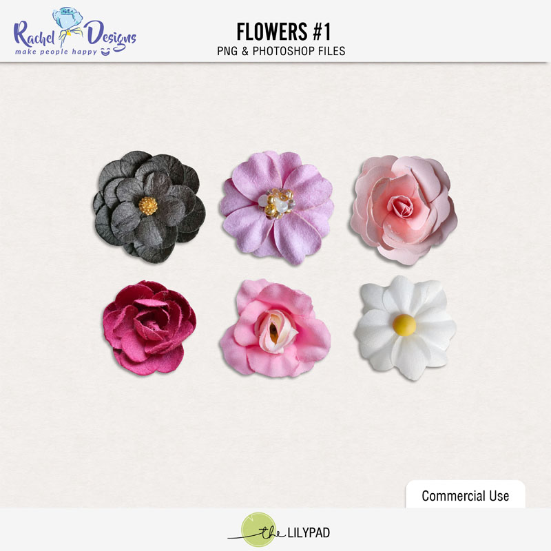 Flowers No 01