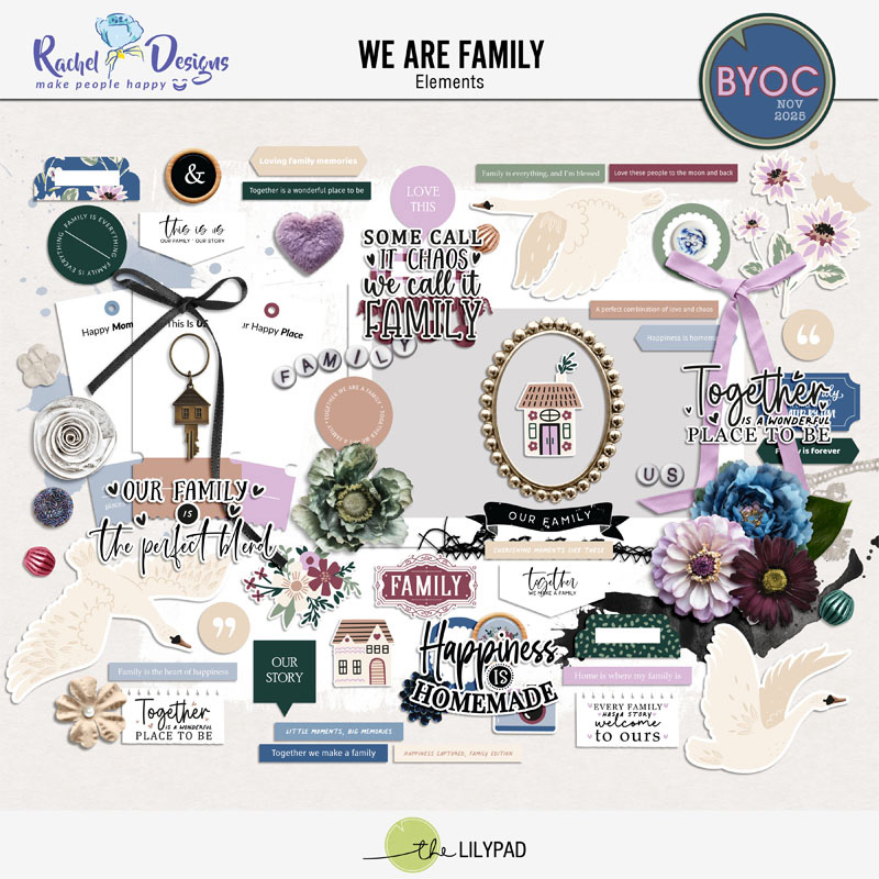 We Are Family | Elements
