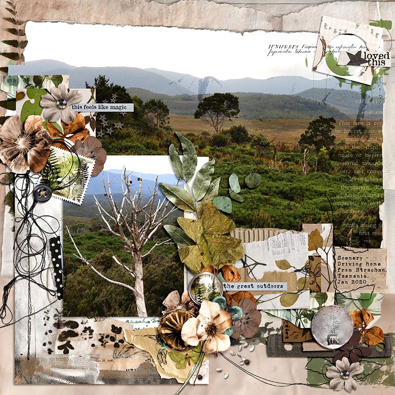 Better Together | The Woodland Edition Bundle Offer - Image 15