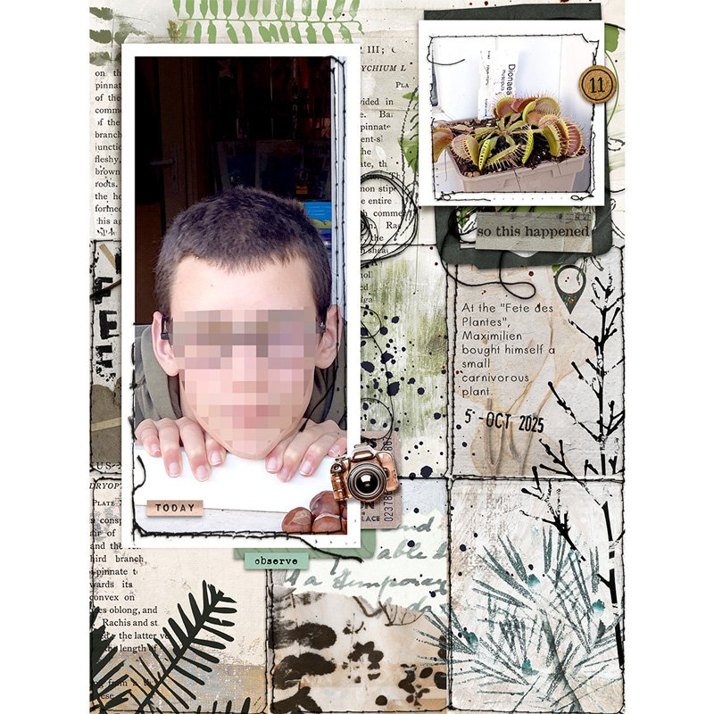 Better Together | The Woodland Edition Bundle Offer - Image 9