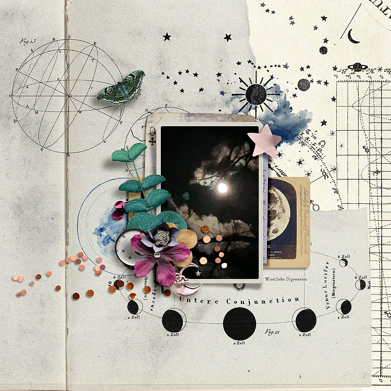 Carefully Curated - Stellar & Friends | Ephemera by Rachel Jefferies - Image 7