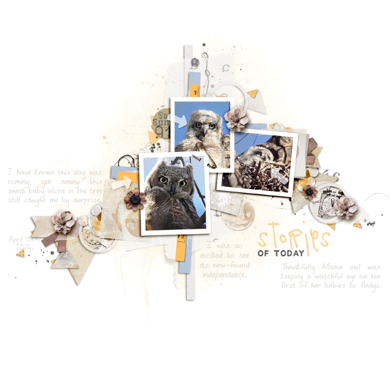 Stories of Today | Bits & Bobs - Image 7