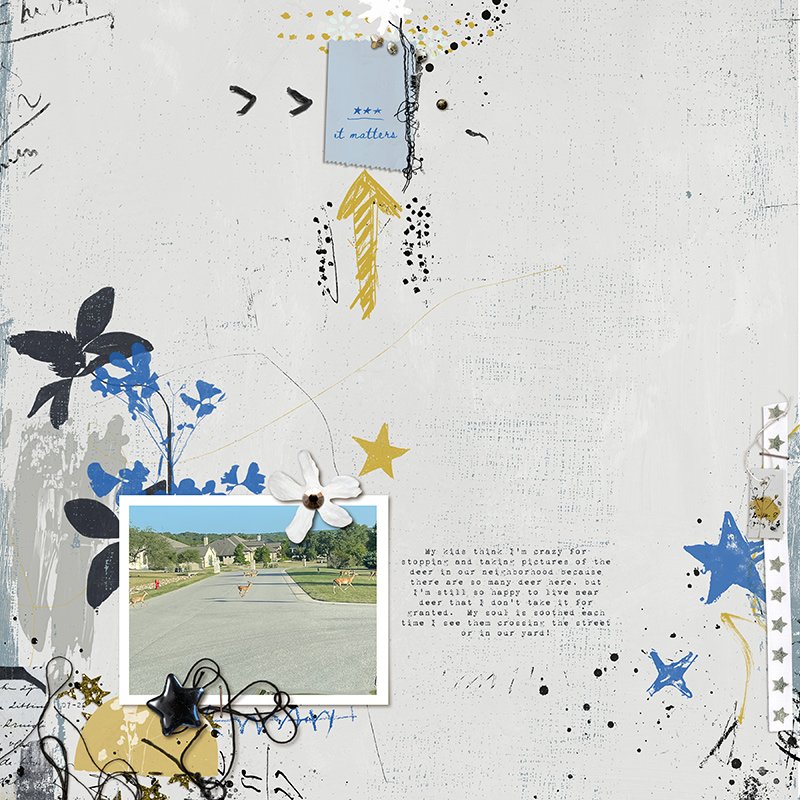 Quiet Noticing | The Complete Mixed Media Collection - Image 11