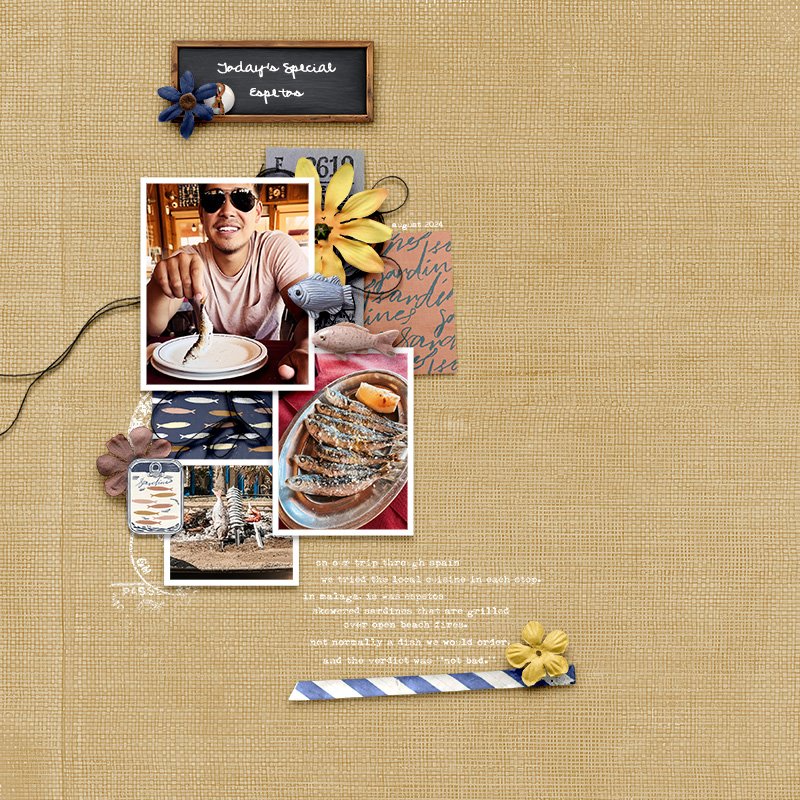 Sarda & Salt - Basic Linen Backgrounds by Rachel Jefferies - Image 10