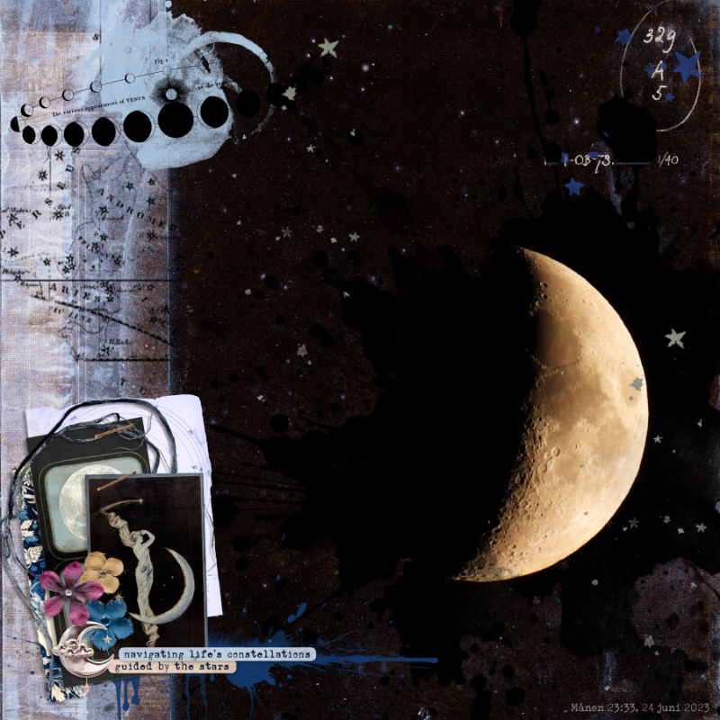 Carefully Curated - Stellar & Friends | Ephemera by Rachel Jefferies - Image 4