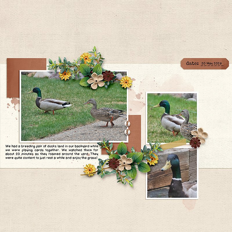 Sarda & Salt - Basic Linen Backgrounds by Rachel Jefferies - Image 4