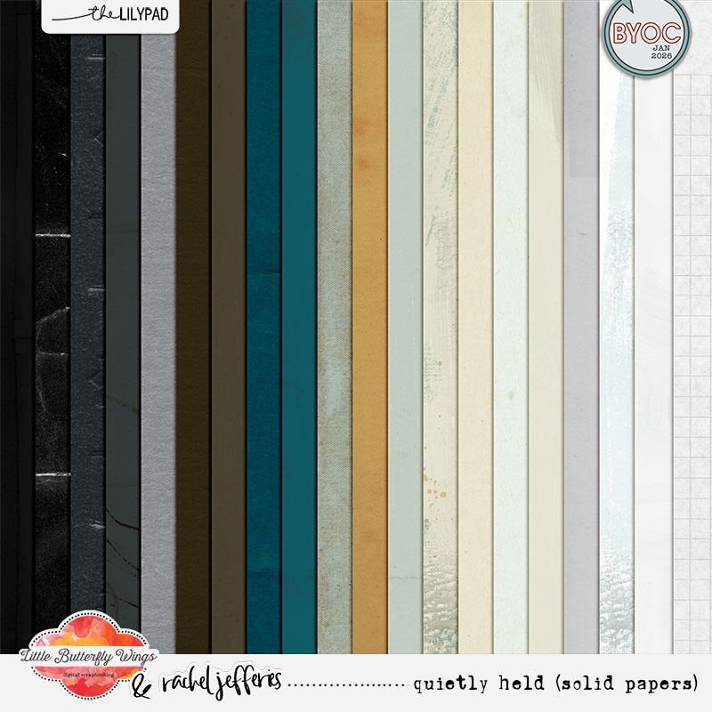 Quietly Held (Solid Papers)