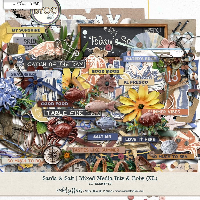 Sarda & Salt - Mixed Media Bits & Bobs (XL) by Rachel Jefferies