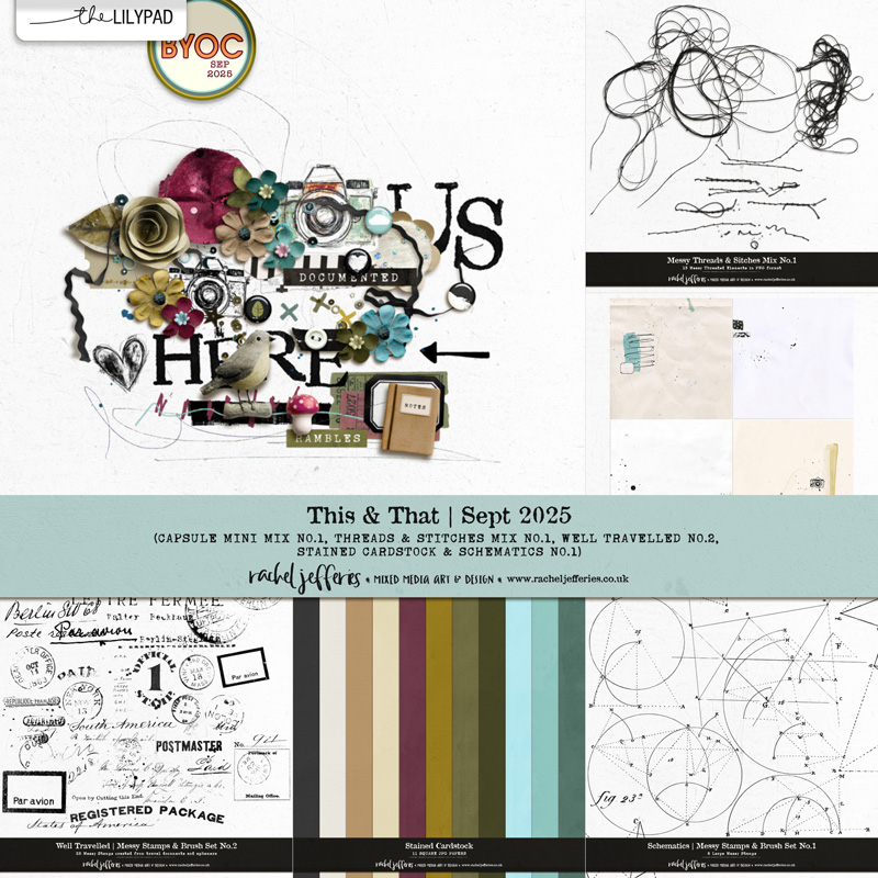 This & That | September 2025 Edition