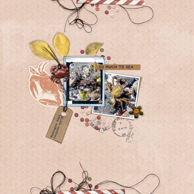 Sarda & Salt - Basic Linen Backgrounds by Rachel Jefferies - Image 2
